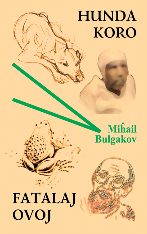 HUNDA KORO, FATALAJ OVOJ